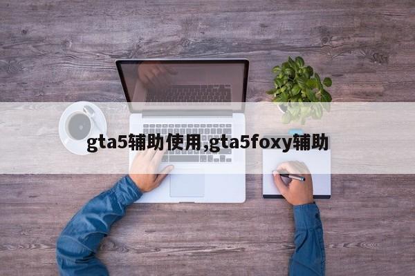 gta5辅助使用,gta5foxy辅助