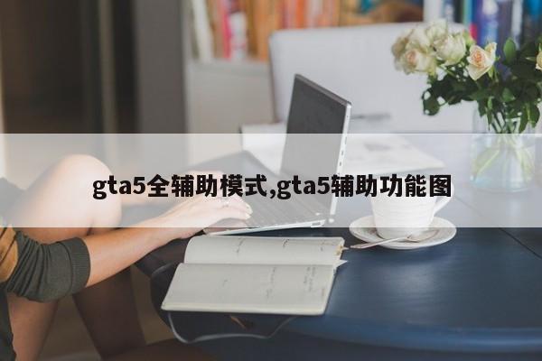 gta5全辅助模式,gta5辅助功能图