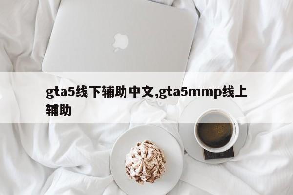 gta5线下辅助中文,gta5mmp线上辅助