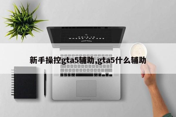 新手操控gta5辅助,gta5什么辅助