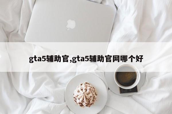 gta5辅助官,gta5辅助官网哪个好