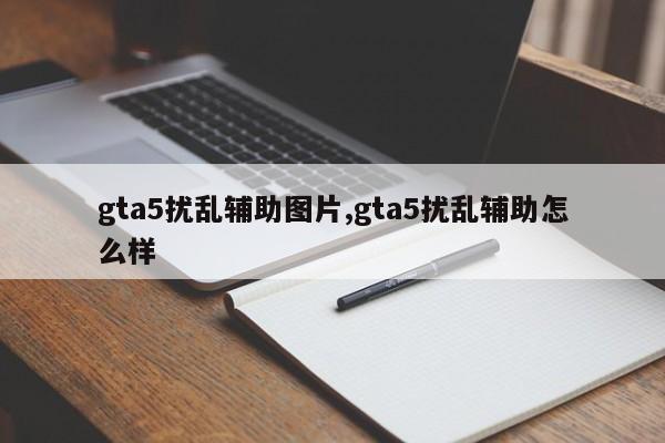 gta5扰乱辅助图片,gta5扰乱辅助怎么样