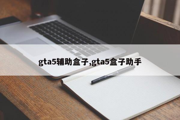 gta5辅助盒子,gta5盒子助手