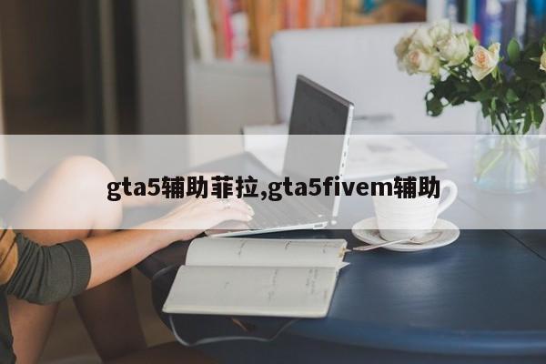 gta5辅助菲拉,gta5fivem辅助