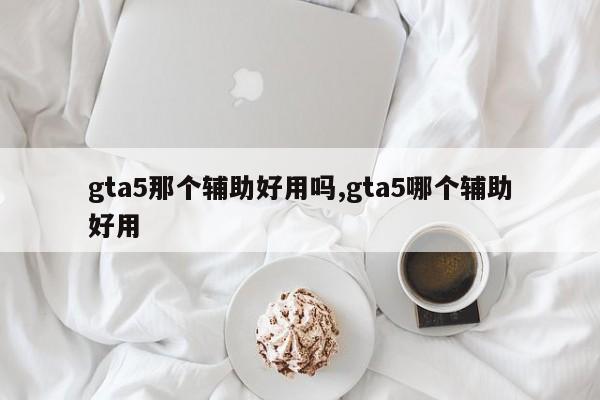 gta5那个辅助好用吗,gta5哪个辅助好用