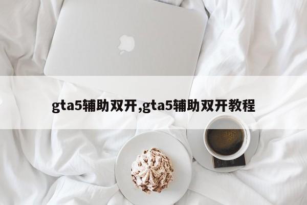 gta5辅助双开,gta5辅助双开教程