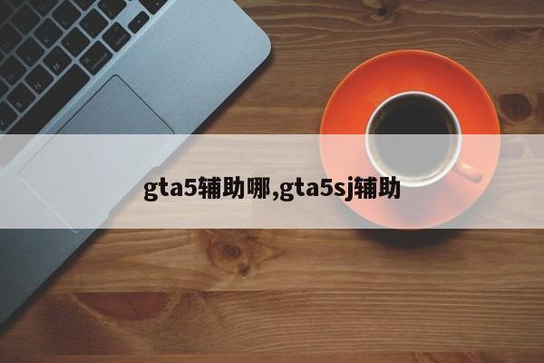 gta5辅助哪,gta5sj辅助