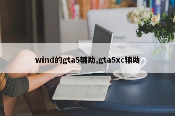 wind的gta5辅助,gta5xc辅助