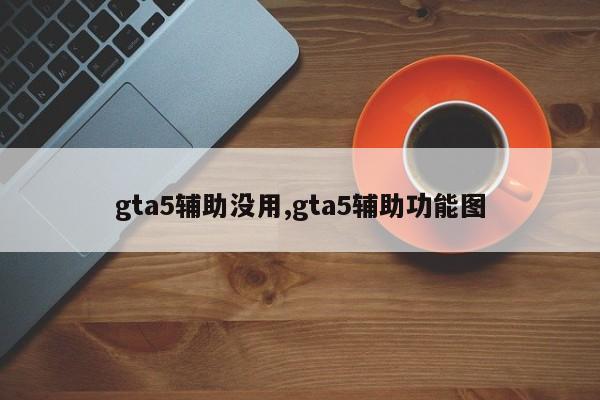 gta5辅助没用,gta5辅助功能图